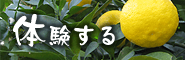 体験する