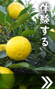 体験する