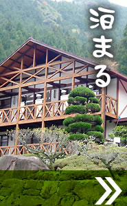 泊まる
