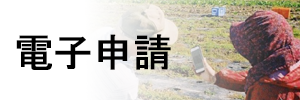電子申請