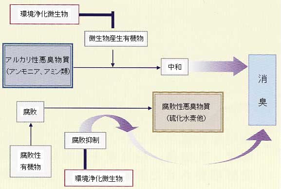 環境浄化微生物　えひめあいいちによる消臭処理について