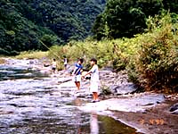 きれいな川で魚取りを楽しむ子供たち