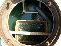 えひめAI-1継続使用浄化槽 清掃2か月後の状況