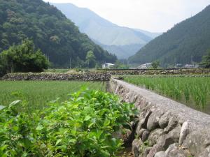 田園風景