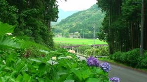 広見川奥野野地区の写真1