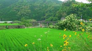 広見川岩谷地区の写真2