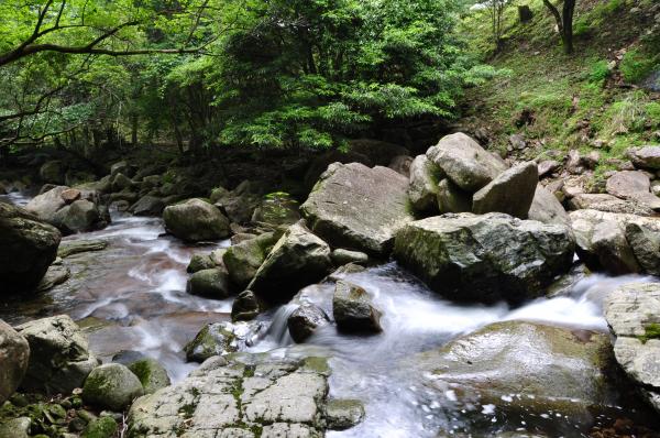 マイナスイオンに満ちた成川渓谷の写真1