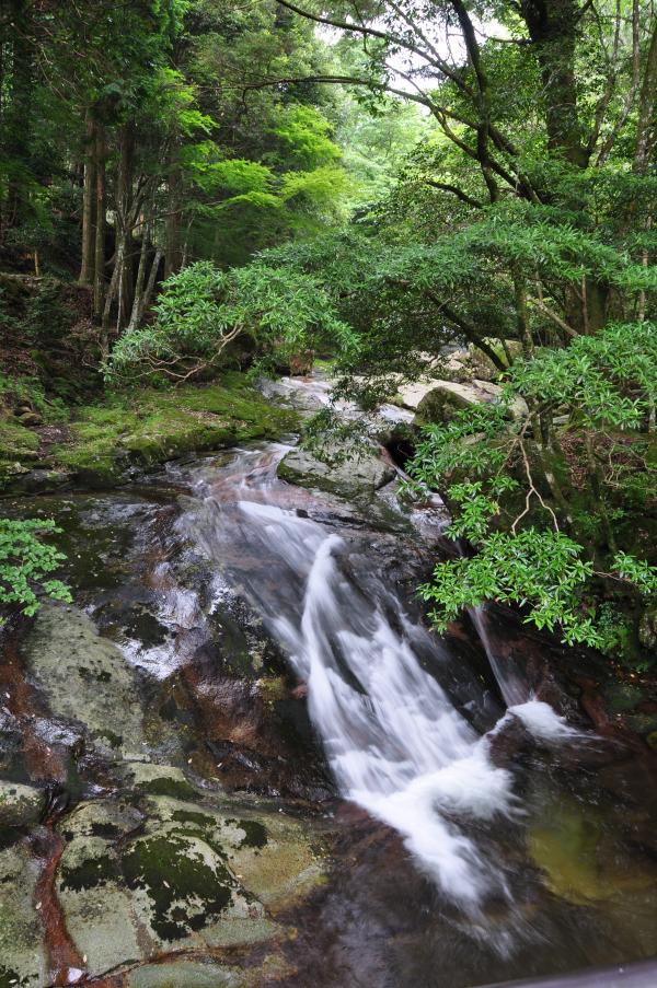 マイナスイオンに満ちた成川渓谷の写真4