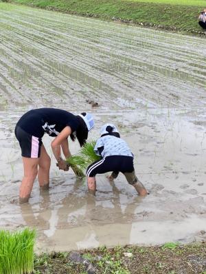 先輩が後輩に教える