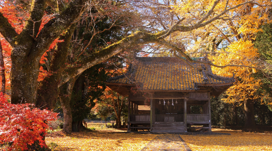 鬼北の紅葉