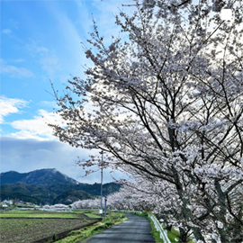 鬼北町インスタグラムの画像その3