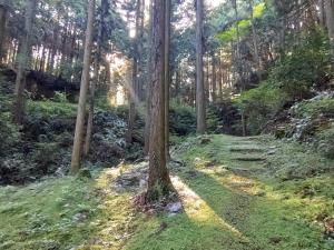清水谷旧参道の画像