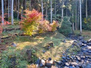清水谷の紅葉の画像