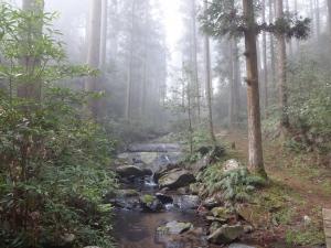 清水谷旧参道の画像