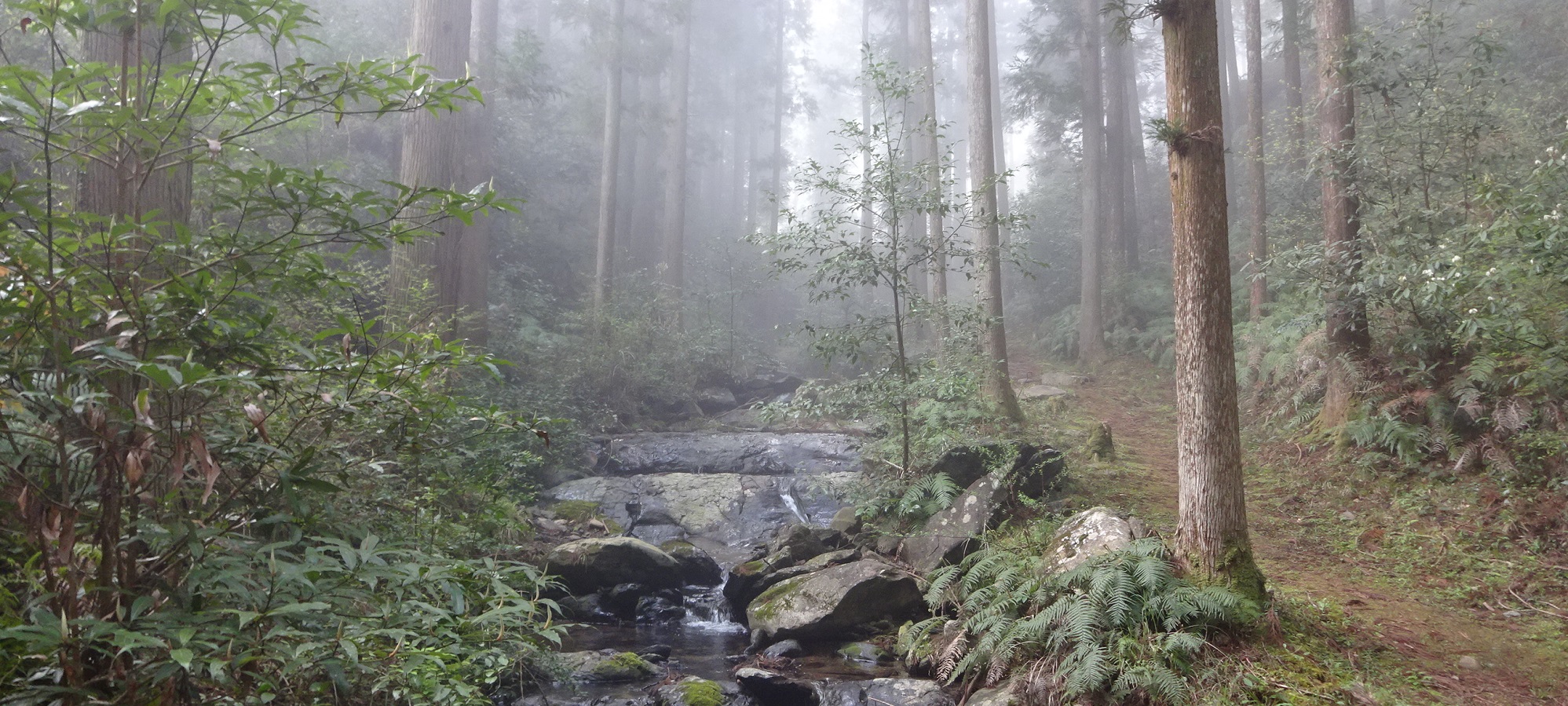 清水谷旧参道の画像