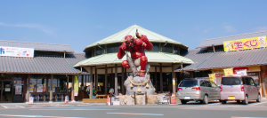 広見森の三角ぼうし