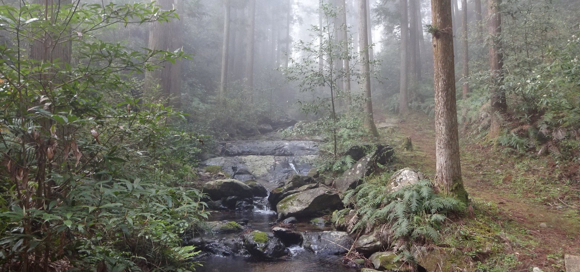 清水谷旧参道の画像