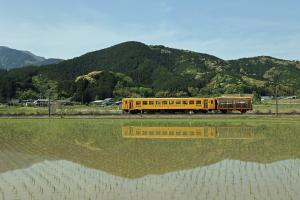 トロッコ春を駆ける