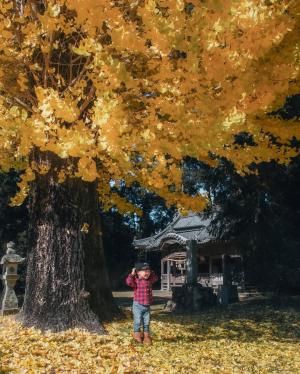 オータムメモリー